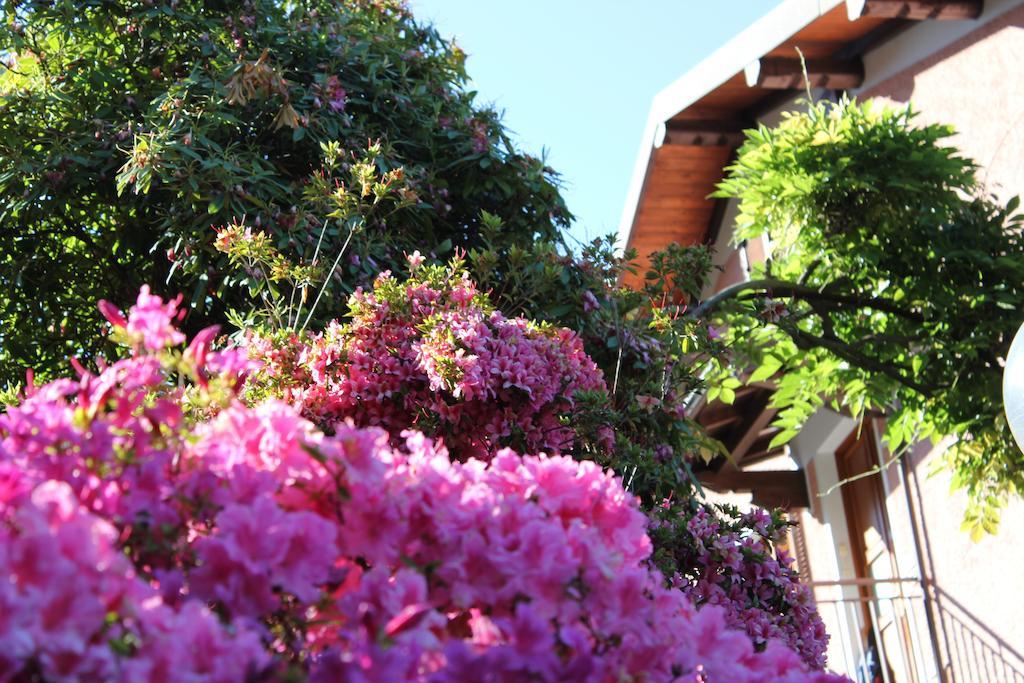 Casa Carolina Daire Bellagio Dış mekan fotoğraf